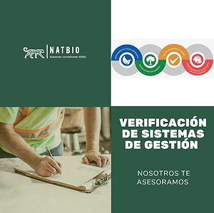 VerificaciÃ³n_de_sistemas.jpeg