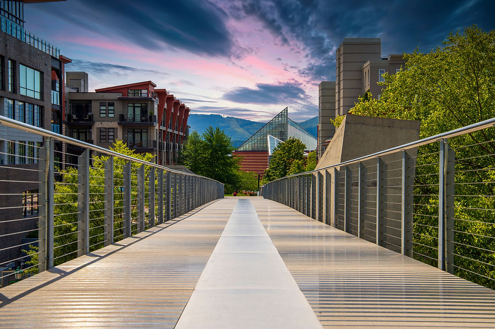 a gorgeous summer landscape on gray metal bridge surrounded by apartments and lush green t