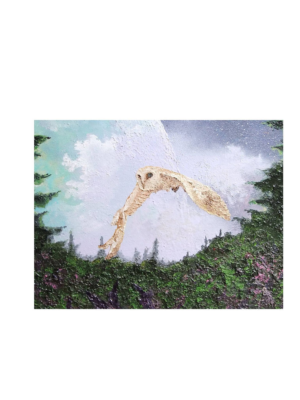 13988101_1122214491178763_5718632193955897185_o.jpg