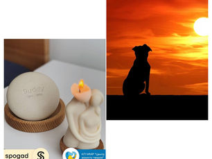 КП ММР "Центр захисту тварин" оказує провний комплекс послуг з індивідуальної і загальної кремації тварин.