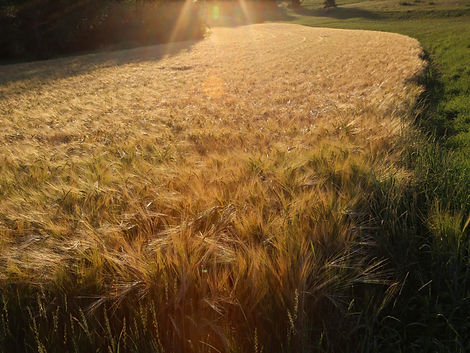 Meine Grundlage_02.JPG