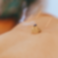 Moxibustion 1.png