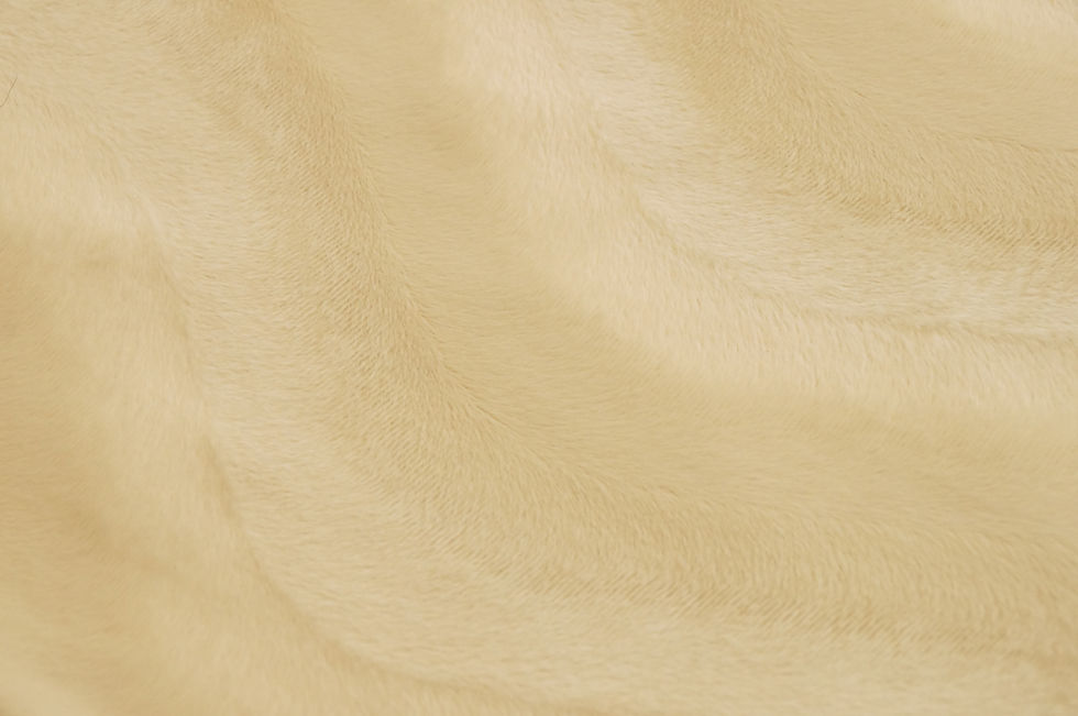 Thumbnail: Velboa Smooth with S - Wave - Ivory - 261