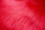 Shop high-quality red faux fur fabric at Fabric Base – Soft, luxurious, perfect for fashion & upholstery.