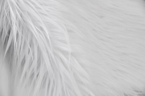 Buy White Long Pile Faux Fur