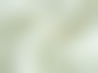 Cotton Pique Fabric from Fabric Base Inc: The Perfect Choice for Quality and Comfort