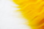 Shop high-quality yellow faux fur fabric at Fabric Base – Soft, luxurious, perfect for fashion & upholstery.