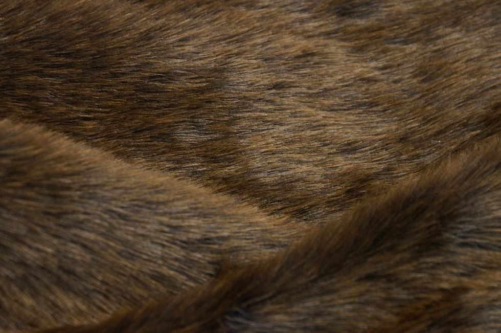 Thumbnail: Crazy Bear Faux Fur