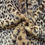 Thumbnail: Minky Faux Fur Leopard