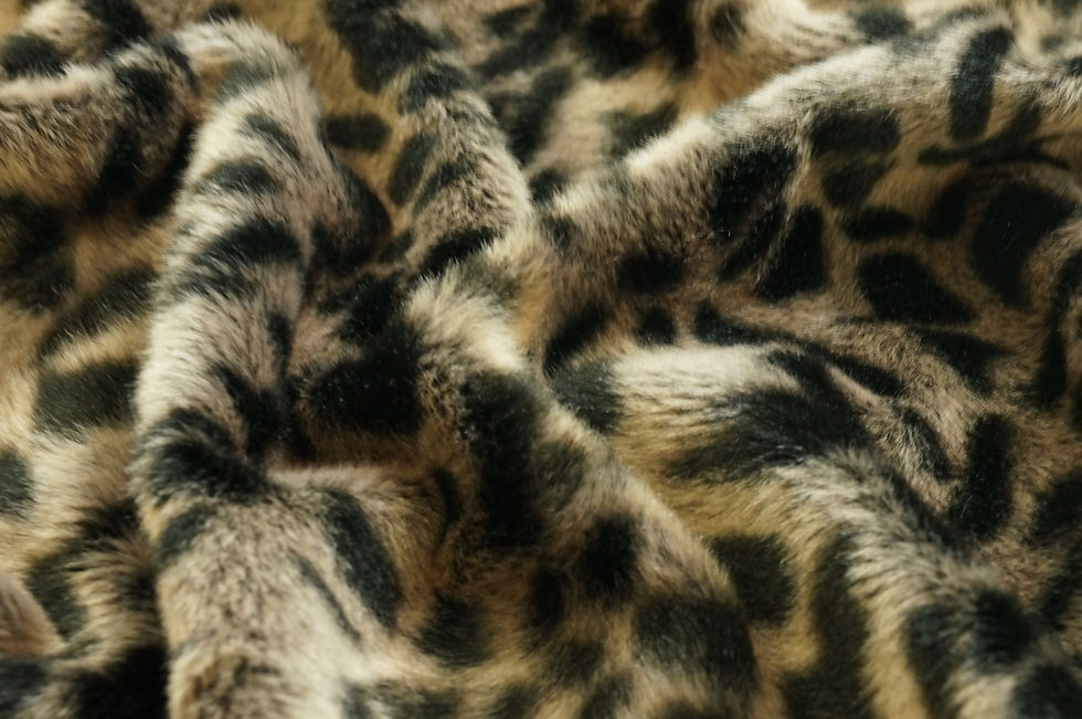 Thumbnail: Leopard Minky Fabric