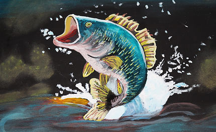 IMG_8240My fish out of water.JPG