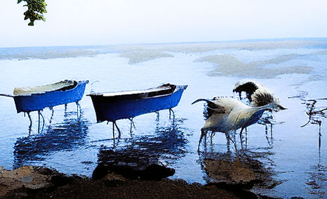 IMG_1661fishing boats in Papeete AFantasyA.JPG