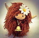 Highland Coo