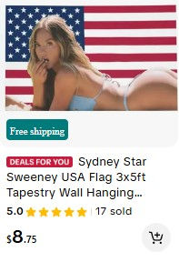 Sydney Sweeney Stars and Stripes USA Flag Wall Art