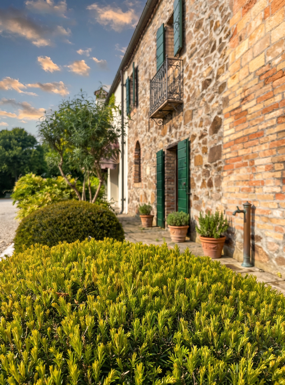 Nicoletta-Matteazzi_BorgoSanLeonardo_Padova_15low.jpg
