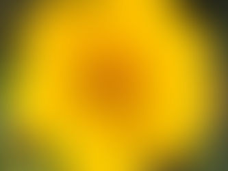 Tiny Suns: August 24 - 30