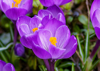  Spring is here!