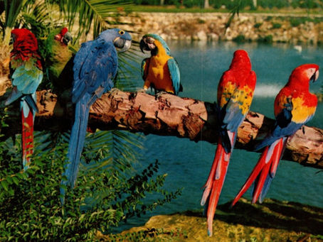 Postcards: March 22 - 28