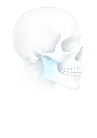 White Background Image Update (2)_edited