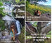 IMMERSION NATURE ET LIEUX SACRÉS