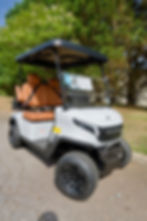 Thumbnail: 2026 KANDI 53v Lithium course cart GOAT pro
