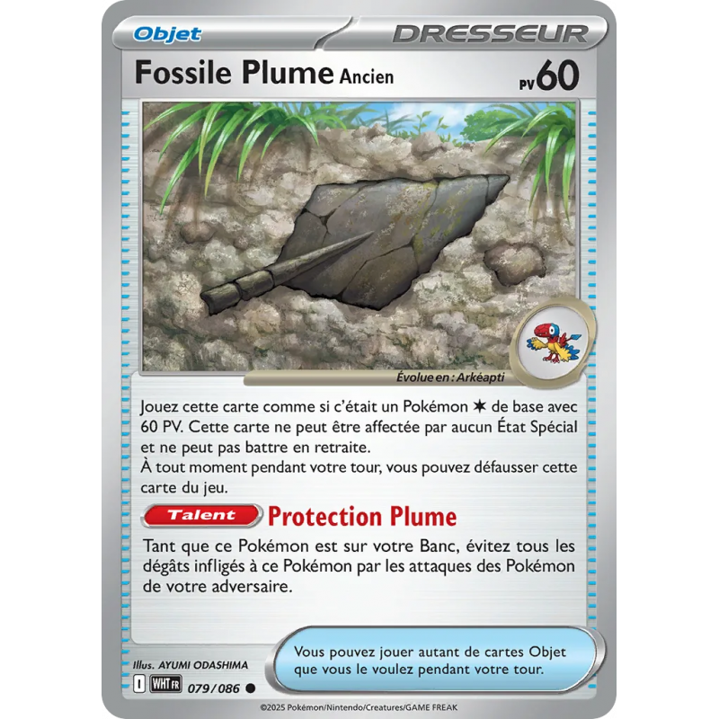 Fossile Plume Ancien (WHT 079) FR - Flamme Blanche