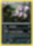 Noctali (XYPR 96) FR - Promos