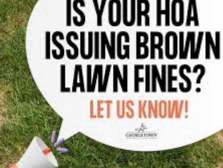 🔥💧 Drought, Fire Danger, and Brown Lawns: Should Homeowners Be Fined for Conserving Water?
