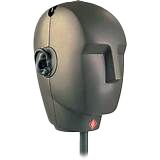 BIM copy.png