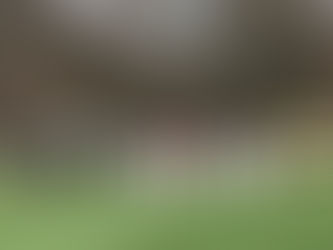 Meisterrunde U19 Verbandsliga: FSV bleibt mit erneuter Punkteteilung weiterhin ungeschlagen