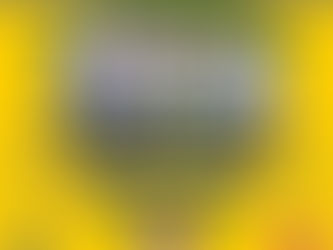 Erste Mannschaft: Fußballvorschau FSV Martinroda Thüringenliga 6. Spieltag