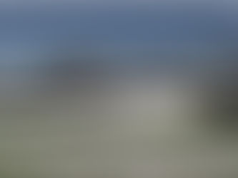 Fort Holmes: Michigan