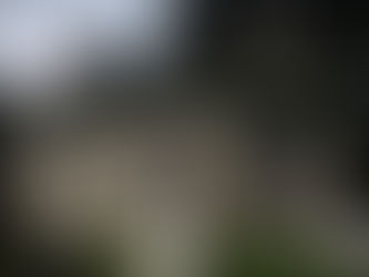 Sleepy Hollow's Old Dutch Church and Burial Ground: New York