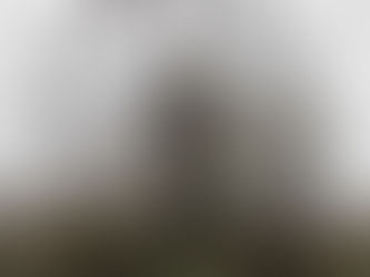 Lake Shawnee Amusement Park: West Virginia