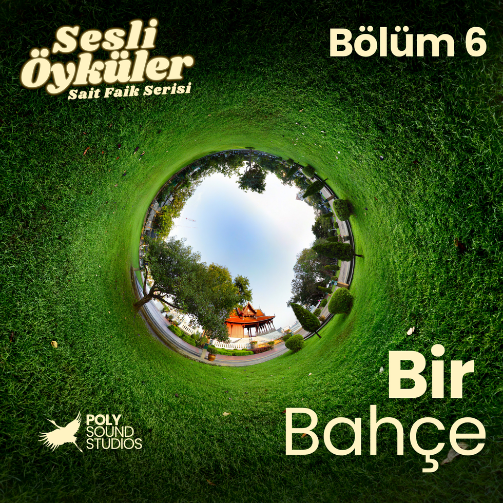 sesli (15)
