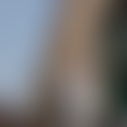  Les horizons artistiques et architecturaux de la biennale