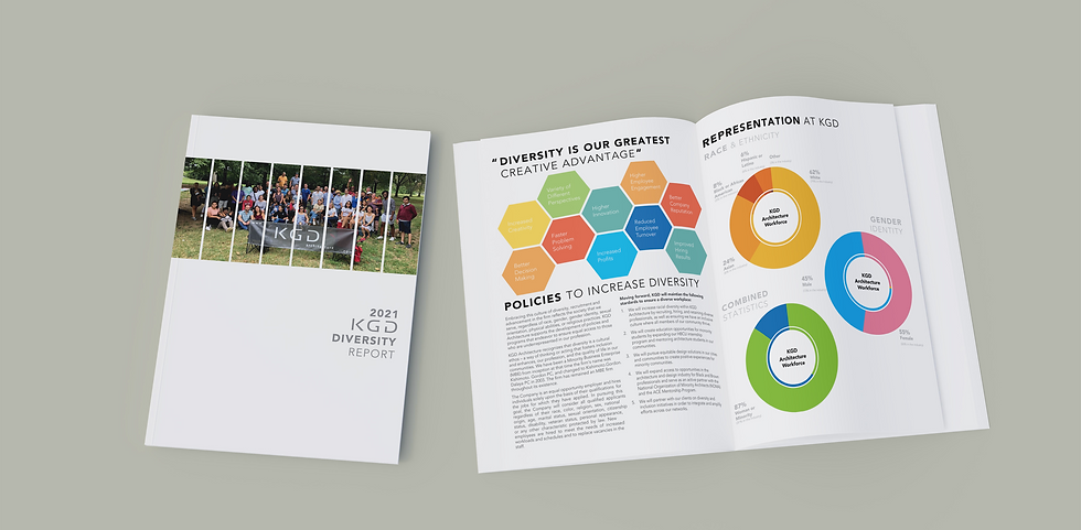 Diversity Spread mochup.png