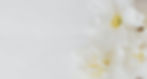 Screenshot 2024-11-23 165333_edited.jpg