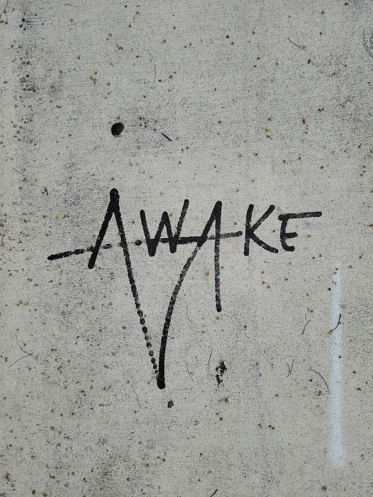 Woke vs Awake: Navigating the Polarizing Landscape of Modern Activism