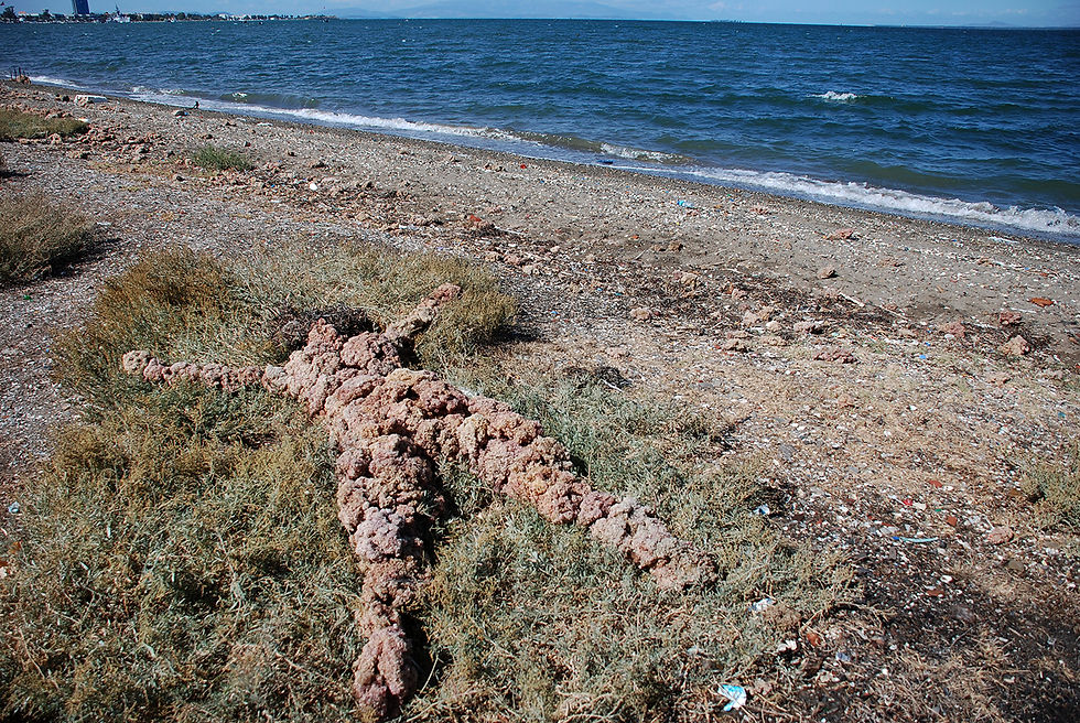 on the beach install