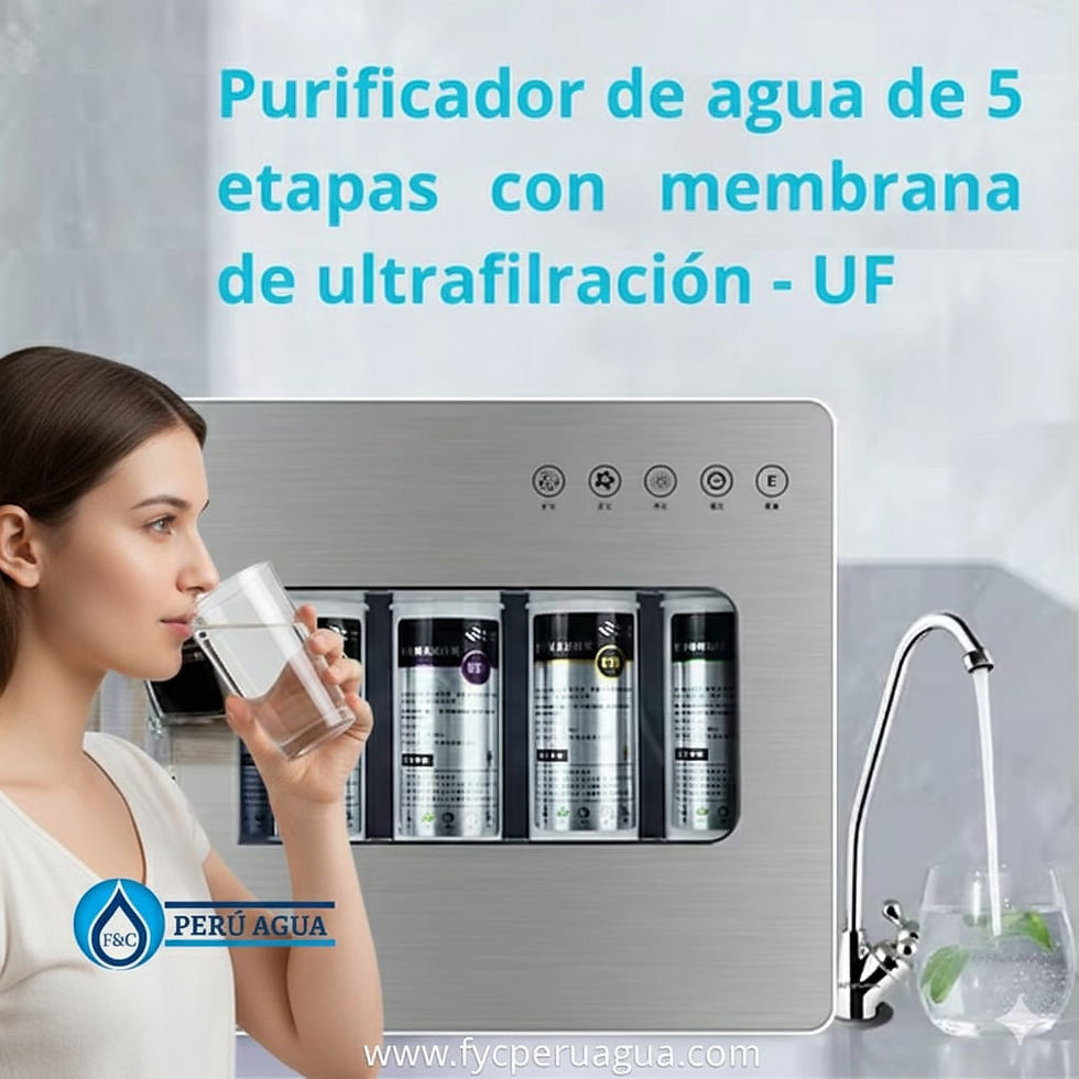 PURIFICADOR DE 5 ETAPAS CON MEMBRANA DE ULTRAFILTRACION UF HIDLY LS-UF-B
