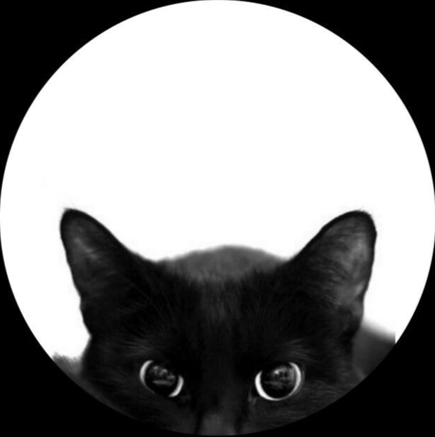 Writer: JIJI The Cat