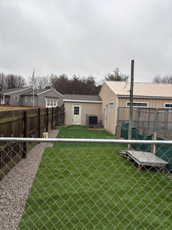 Woofers and Whiskers Pet boarding and daycare Evansville and Newburgh Indiana