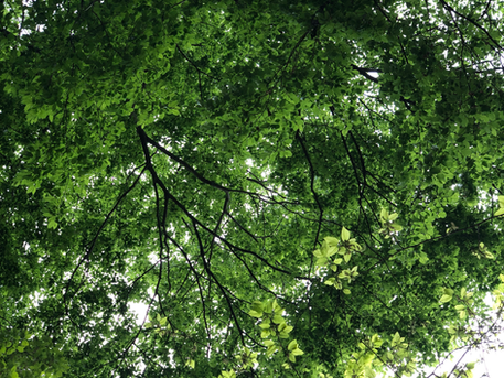 強制ストップ！？