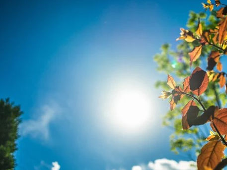 思いと行動を一致させる