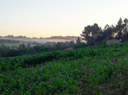Morning mist, Sergude, Galicia