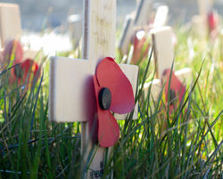 We will remember them