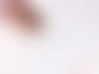 What Documents Can a Mobile Notary in Indiana Notarize?