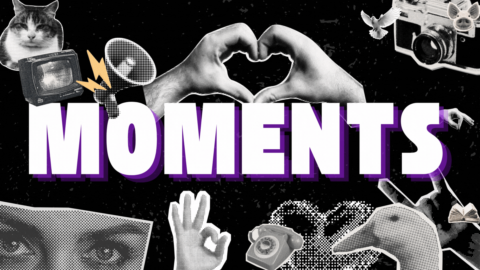 Supervet Connect.gif