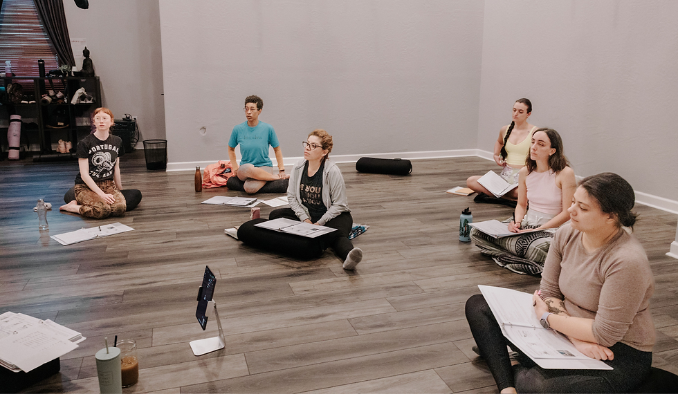 Aerial Yoga Teacher Training, Phoenix, Arizona